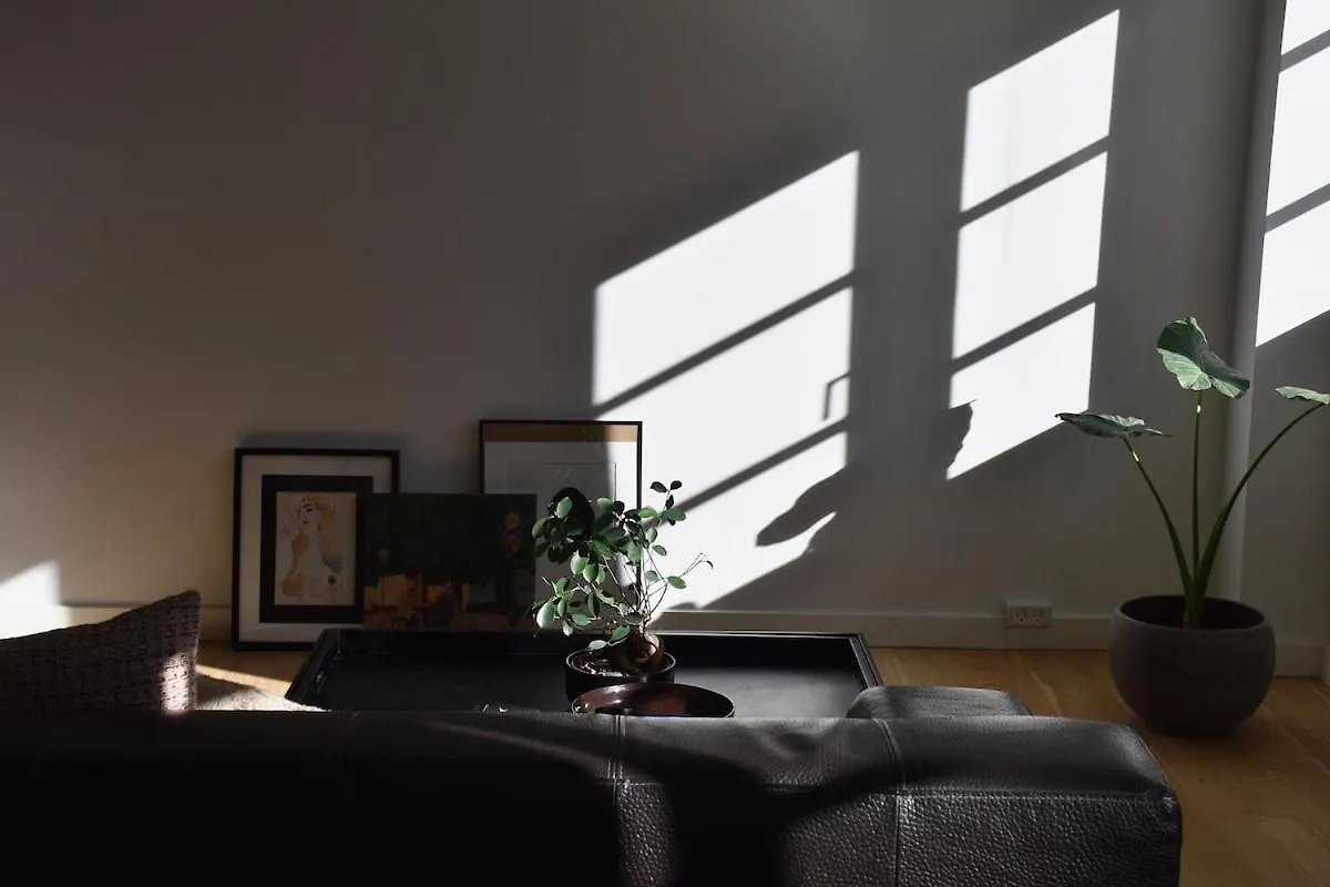 Central Open-Concept Flat location