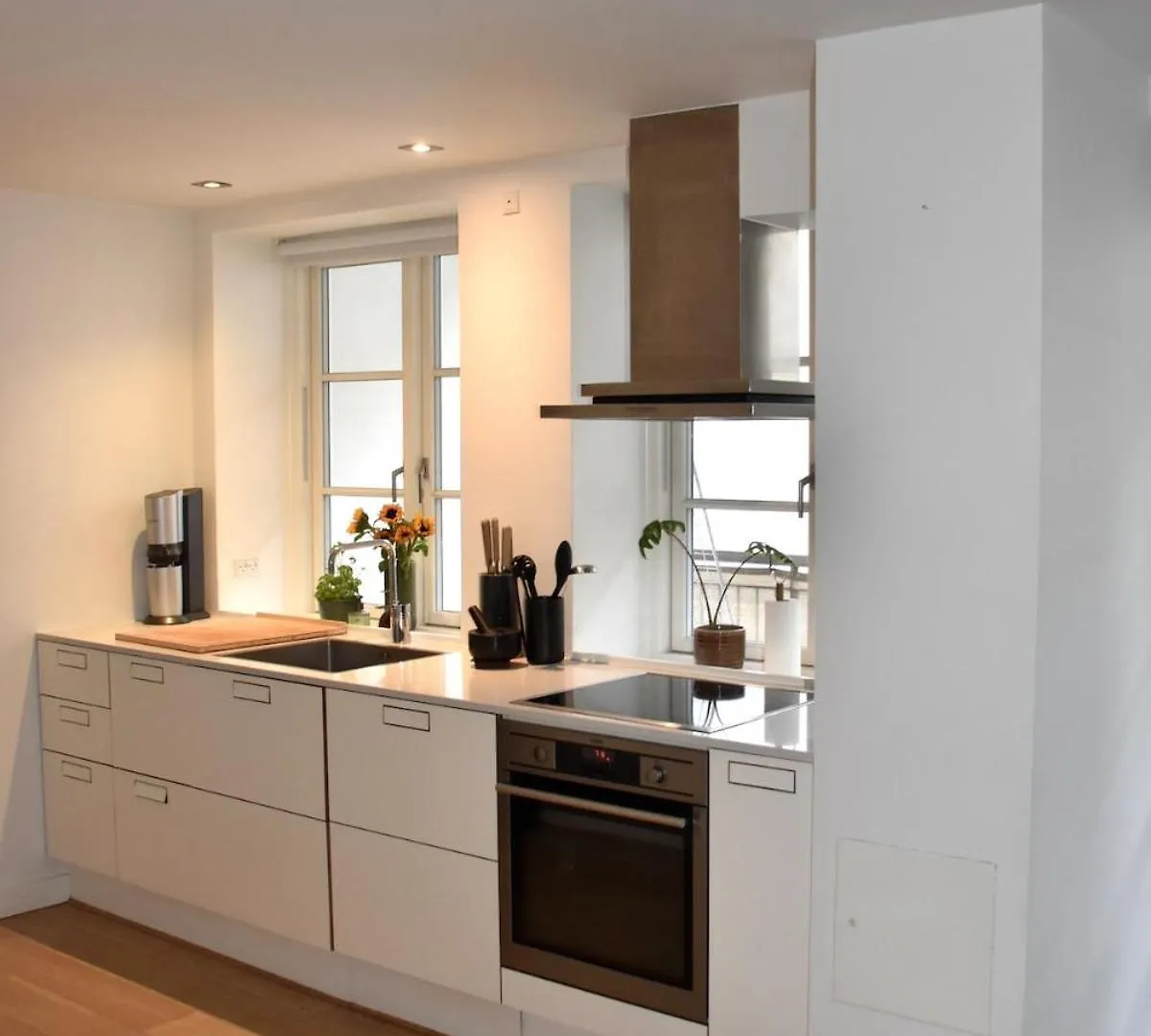 Central Open-Concept Flat Copenhague